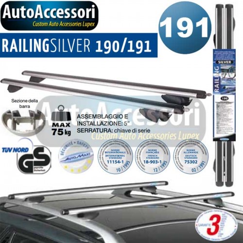 Barre portatutto Bmw preassemblata Railing Silver 191